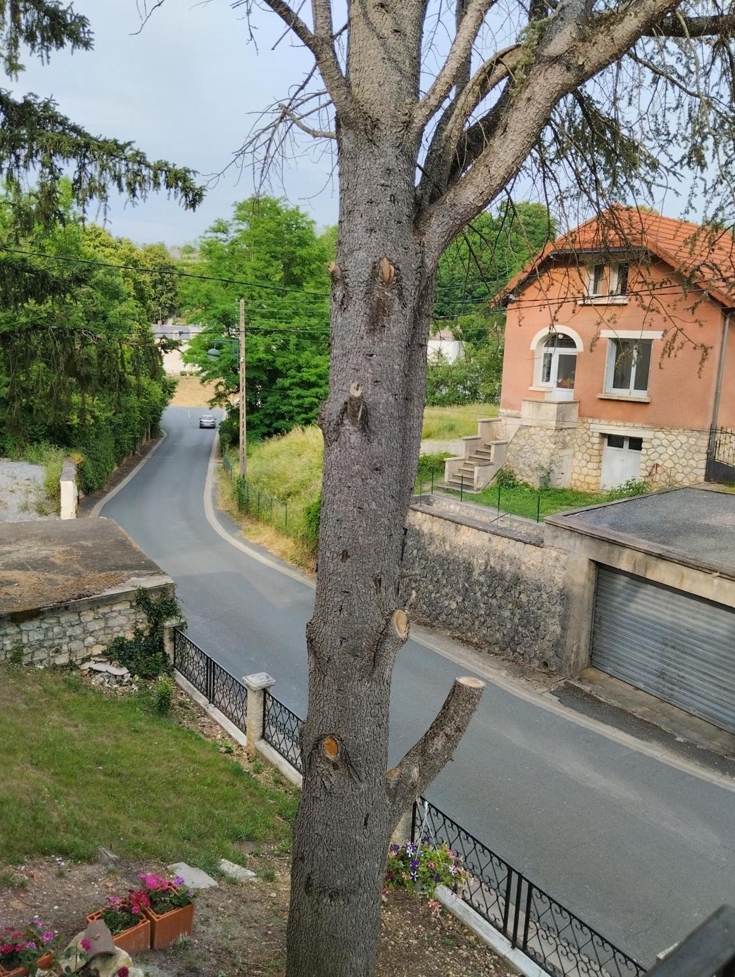 Villa Du Bien Etre Argenton Sur Creuse المظهر الخارجي الصورة